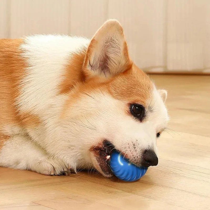 HappySnout Intelligent Jump Ball Toy for Dogs & Cats