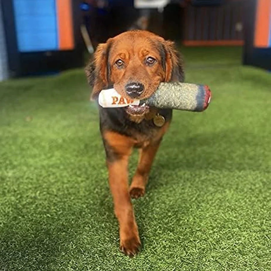 HappySnout Fun Interactive Dog Toy