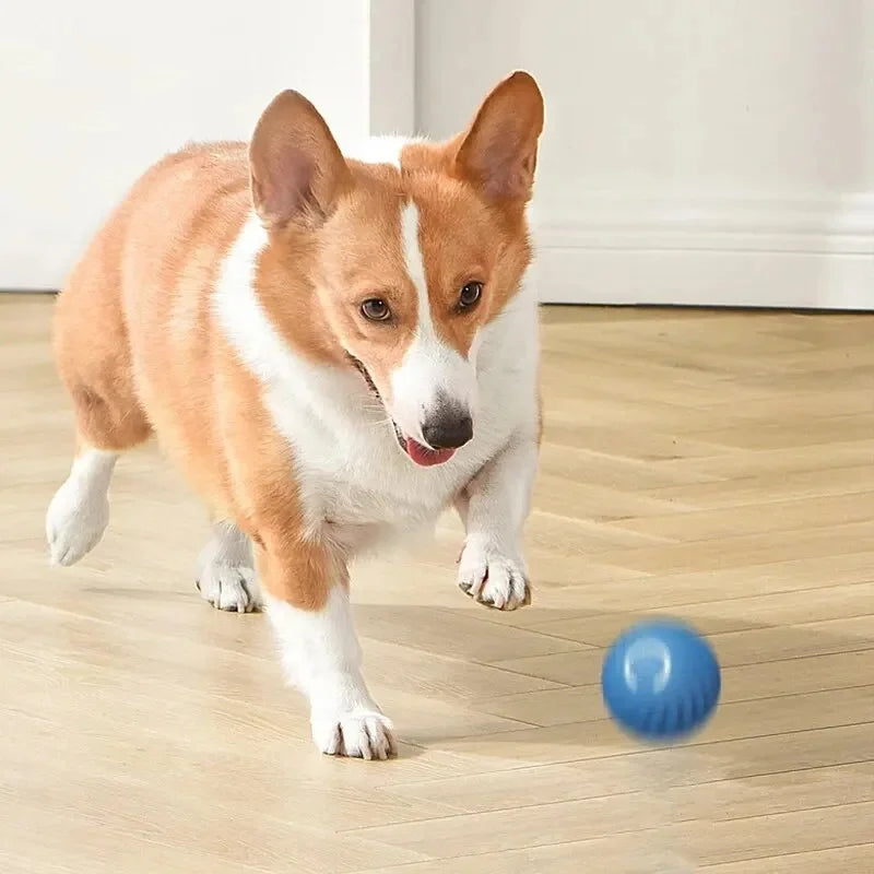 HappySnout Intelligent Jump Ball Toy for Dogs & Cats