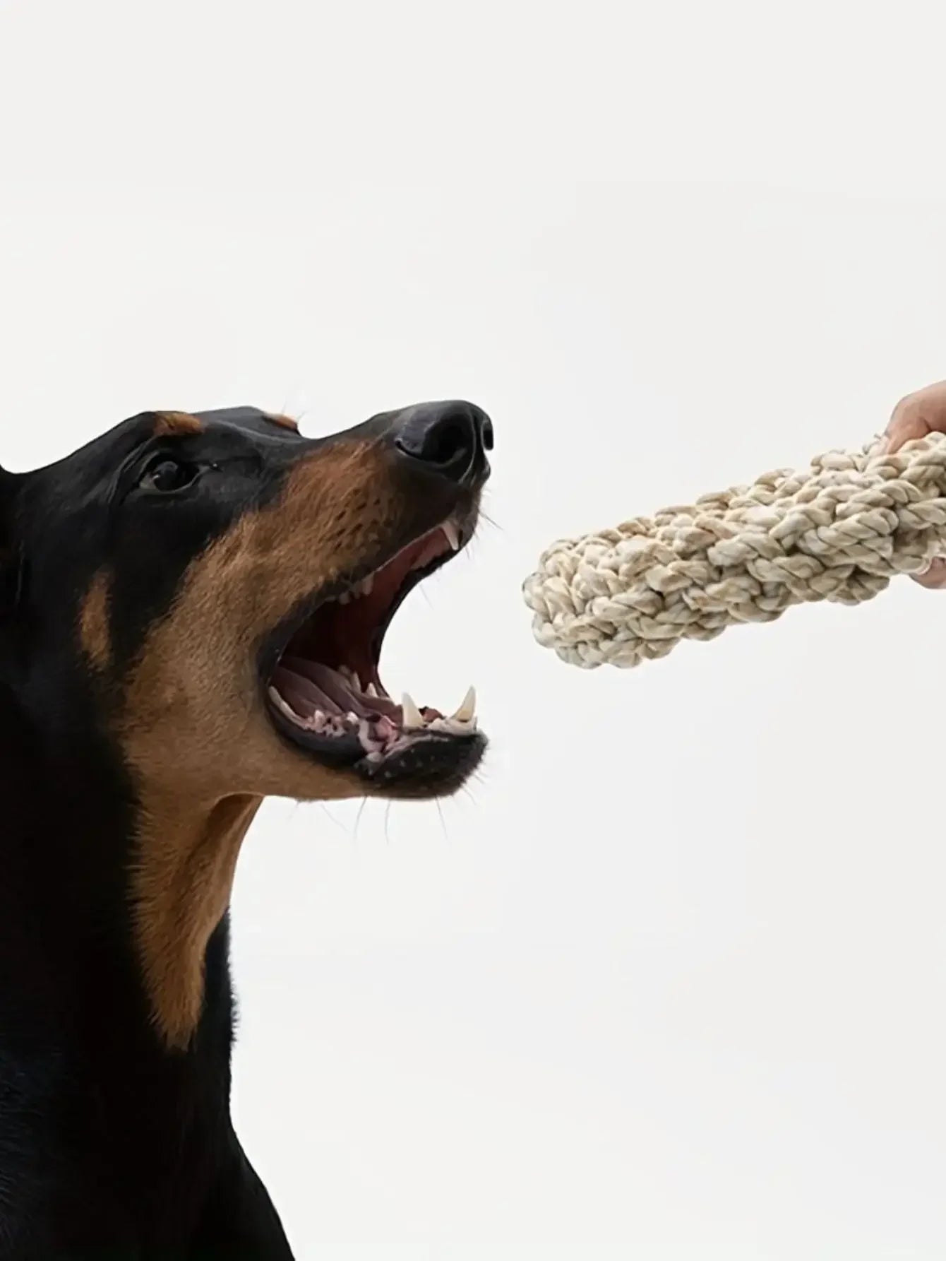 HappySnout Durable Rope Chew Toy