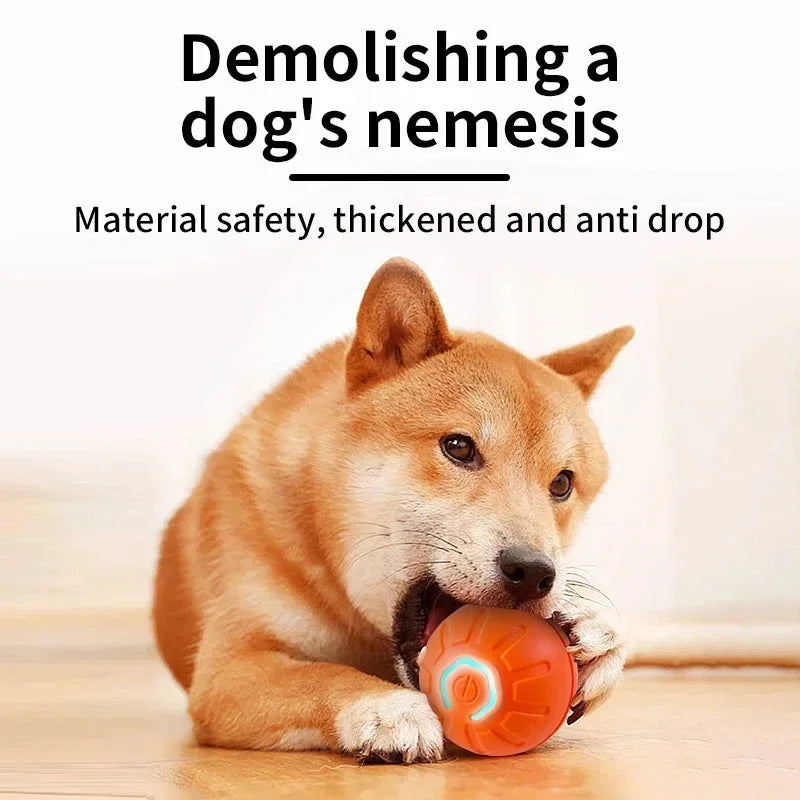 HappySnout Intelligent Jump Ball Toy for Dogs & Cats