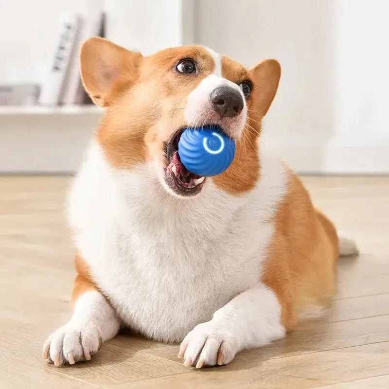 HappySnout Intelligent Jump Ball Toy for Dogs & Cats