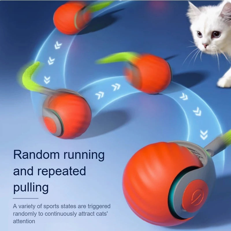 HappySnout Interactive Automatic Rolling Ball Toy