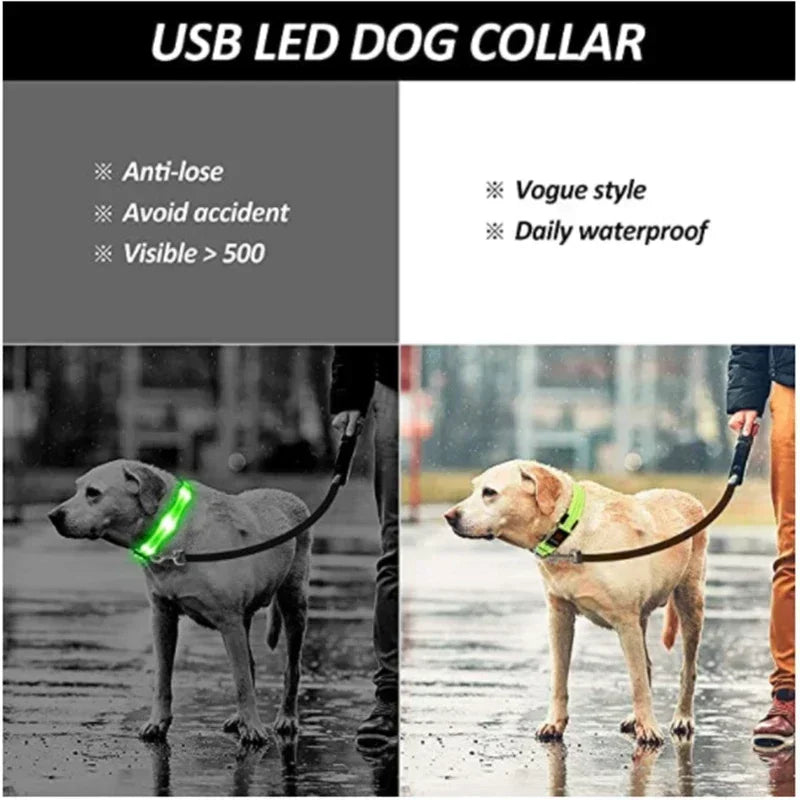 HappySnout LED Glow Collar