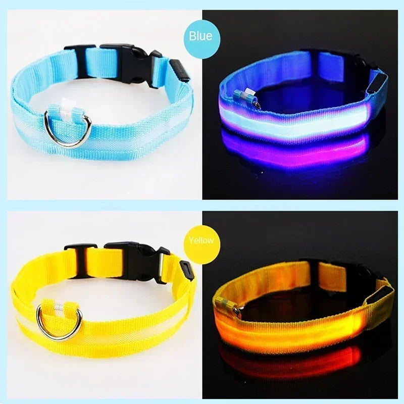 HappySnout LED Glow Collar