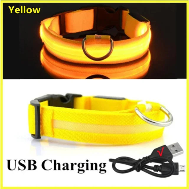 HappySnout LED Glow Collar