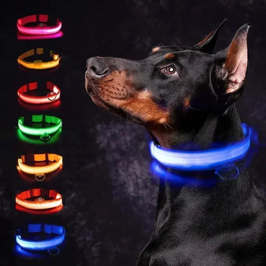 HappySnout LED Glow Collar