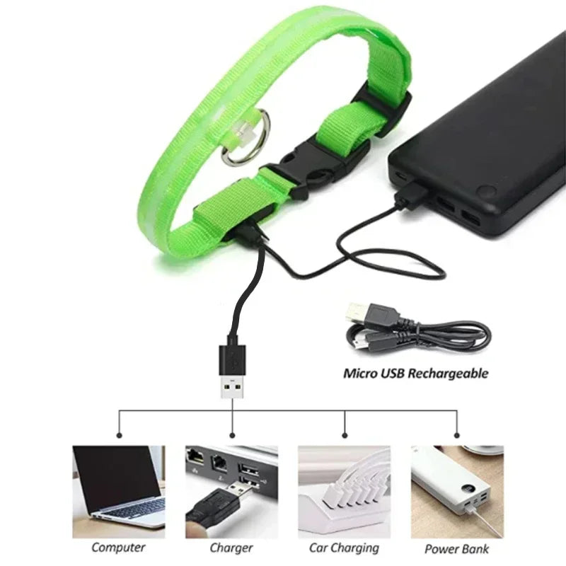 HappySnout LED Glow Collar