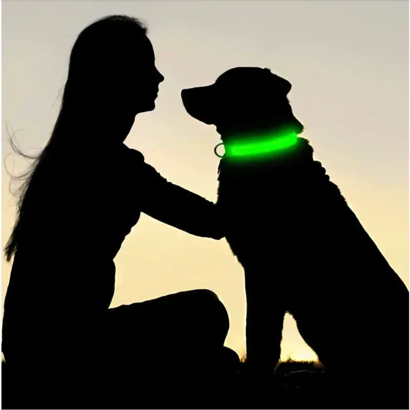 HappySnout LED Glow Collar