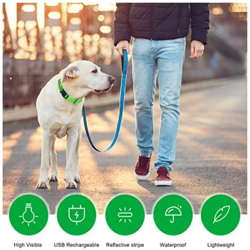 HappySnout LED Glow Collar