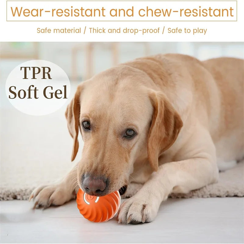 HappySnout Intelligent Jump Ball Toy for Dogs & Cats