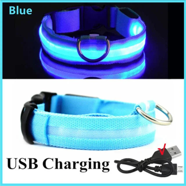 HappySnout LED Glow Collar