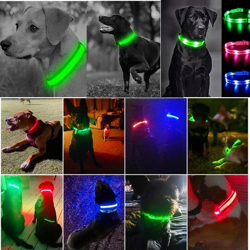 HappySnout LED Glow Collar
