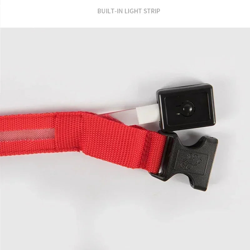 HappySnout LED Glow Collar