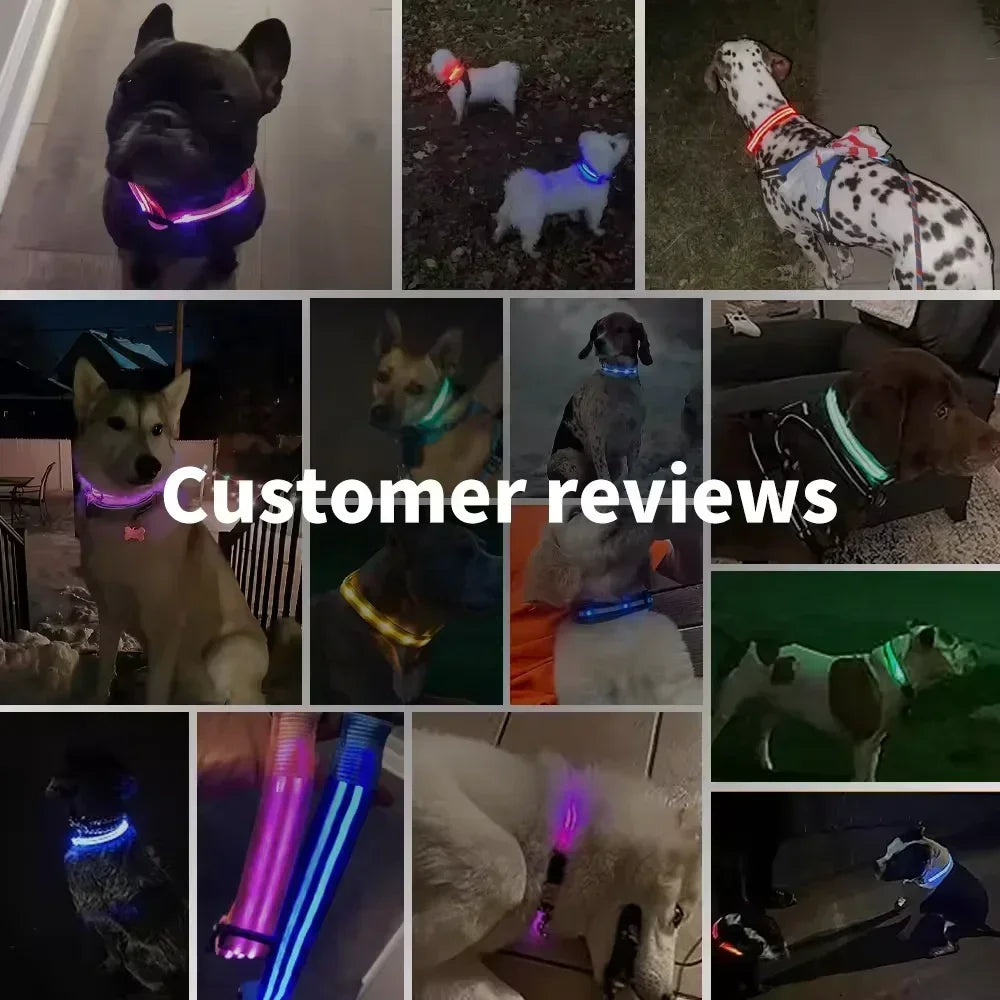 HappySnout LED Glow Collar