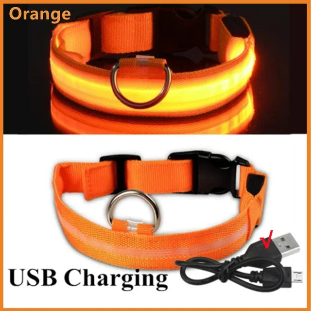 HappySnout LED Glow Collar