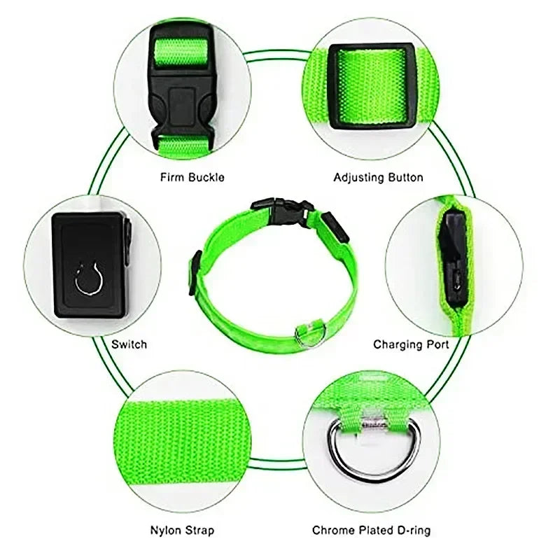HappySnout LED Glow Collar