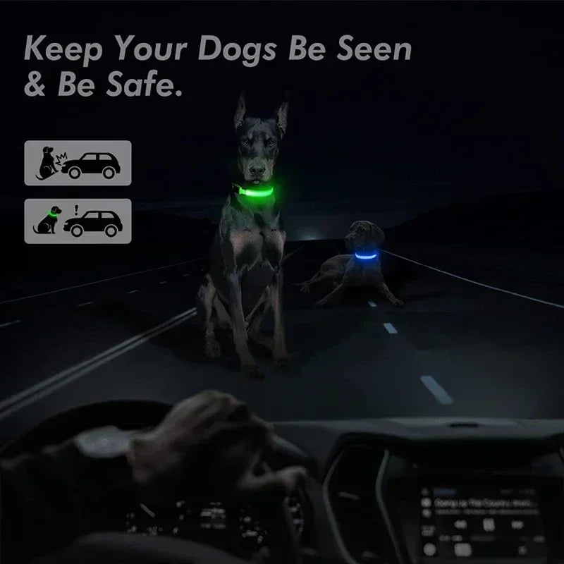 HappySnout LED Glow Collar