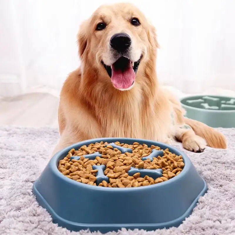 HappySnout Premium Pet Slow Feeder Bowl — Healthy, Fun Mealtime for Dogs & Cats