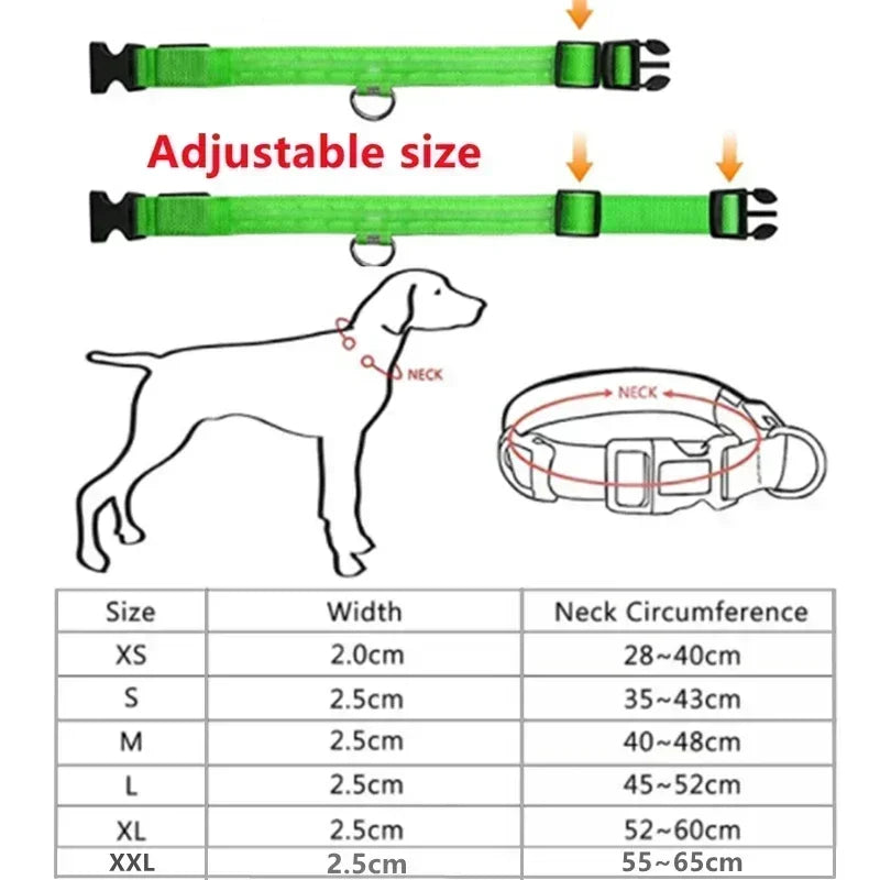 HappySnout LED Glow Collar