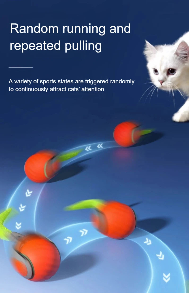 HappySnout Interactive Automatic Rolling Ball Toy