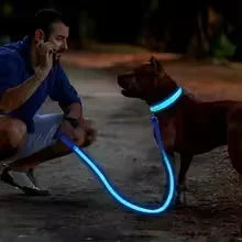 HappySnout LED Glow Collar