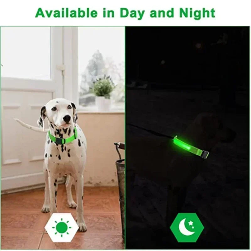 HappySnout LED Glow Collar