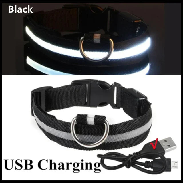 HappySnout LED Glow Collar