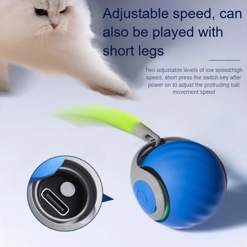 HappySnout Interactive Automatic Rolling Ball Toy
